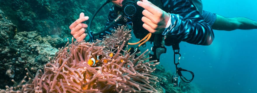 Au départ de Phi Phi : excursion d'une journée pour les débutants en plongée sous-marine avec 2 plongées