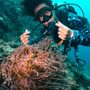 From Phi Phi: PADI Discover Scuba Half-Day Trip (2 Dives) From Phi Phi: PADI Discover Scuba Half-Day Trip (2 Dives)