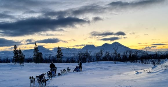 Exclusive Arctic dogsledding in the mountain