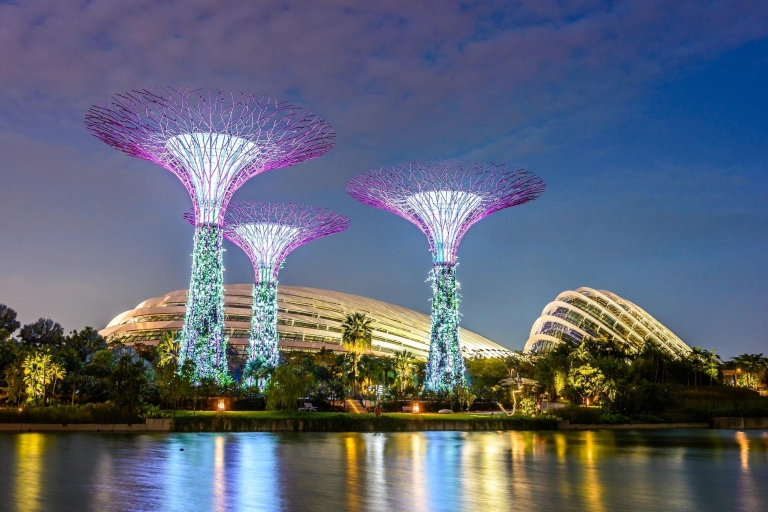 Singapour : Gardens by the Bay billet d'entréeBillet avec la Forêt de Nuages (pour les non-Singapouriens)