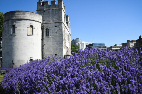 Londen: Westminster privé wandeltour &amp; Tower of London
