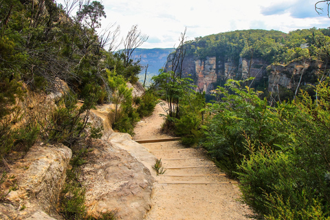 Sydney: Blue Mountains 3 Scenic Walks Ultimate Guided Tour Shared Tour, Meet at Furama Darling Harbour