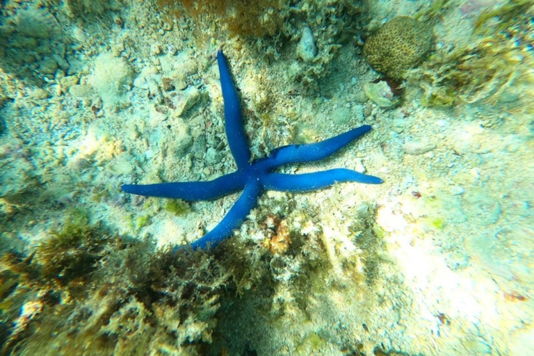 Sansibar: Blaue Lagune, Seesterne, Paje Strand und Maalum HöhleSansibar: Blaue Lagune, Seesterne, Jambiani und Maalum-Höhle