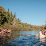 Toronto: escursione di un giorno all'Algonquin Park e alle Ragged Falls