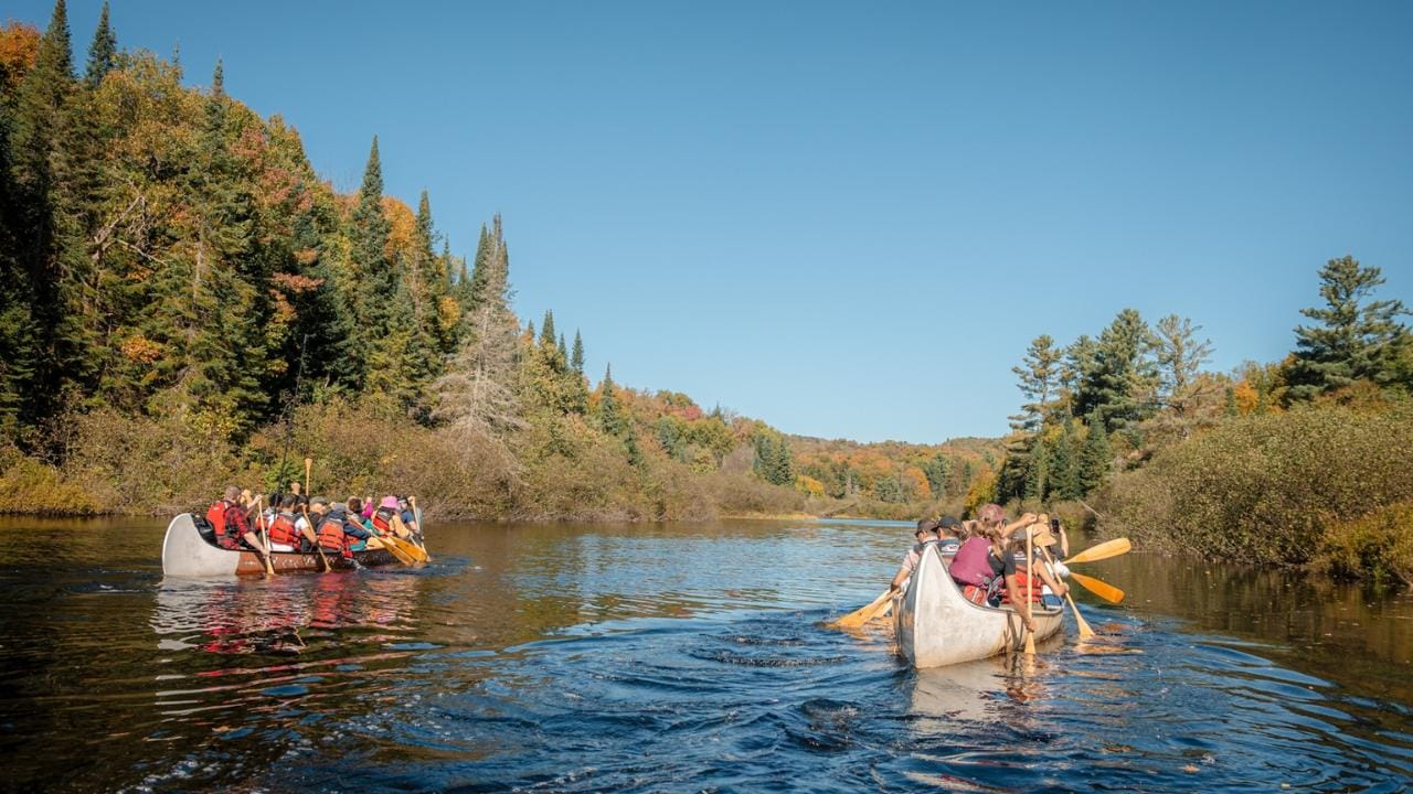 Toronto: Tagestour zum Algonquin Park und zu den Ragged Falls