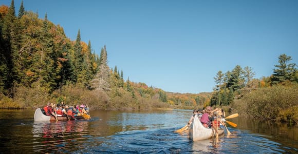 Toronto: Tagestour zum Algonquin Park und zu den Ragged Falls