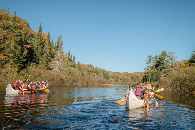 Toronto: Algonquin Park and Ragged Falls Day Trip
