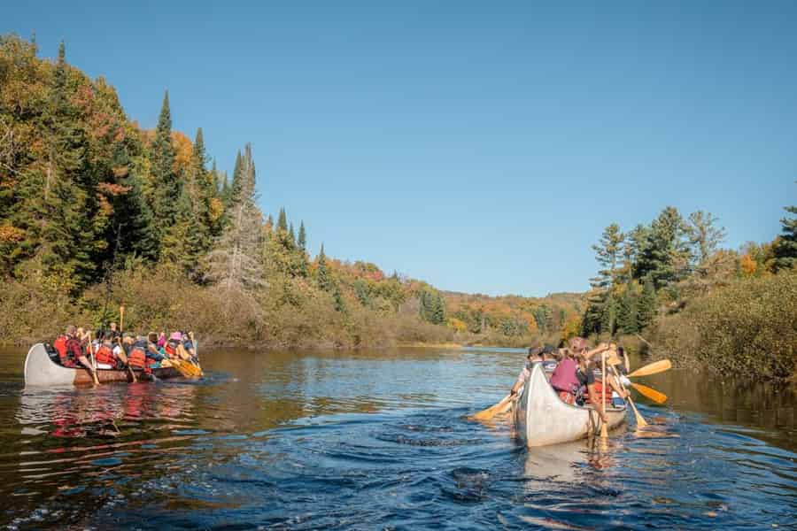 Toronto: Tagestour zum Algonquin Park und zu den Ragged Falls. Foto: GetYourGuide