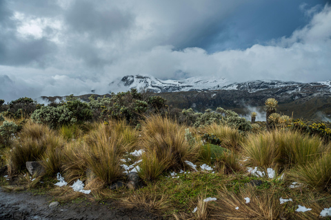 Bogotá to Cali: Private Luxury Journey through the Andes and Coffee