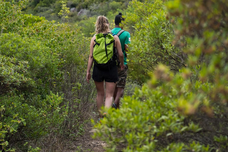 Maurice aventureuse : voyage privé avec hôtel et activités