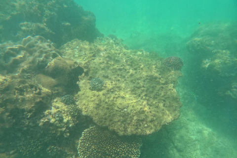 Mirissa: Night Snorkeling Adventure with Coral Reef & Fishes Mirissa: Night Snorkeling Adventure with Local Guide