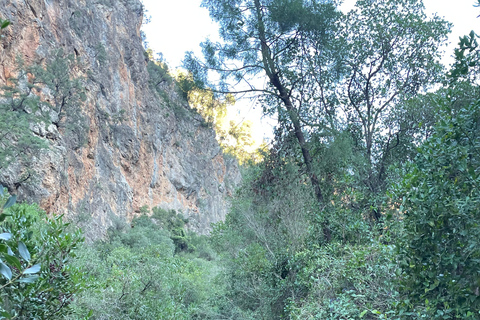 From Chefchaouen: Full-Day Trip to Akchour Waterfalls Small group tour