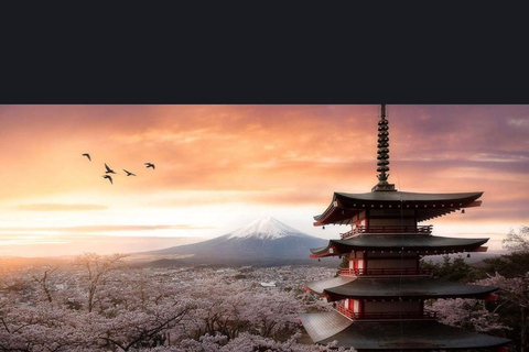 Från Tokyo: Fuji-berget eller Hakone Sightseeing Privat dagstur