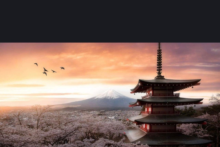 Från Tokyo: Fuji-berget eller Hakone Sightseeing Privat dagstur