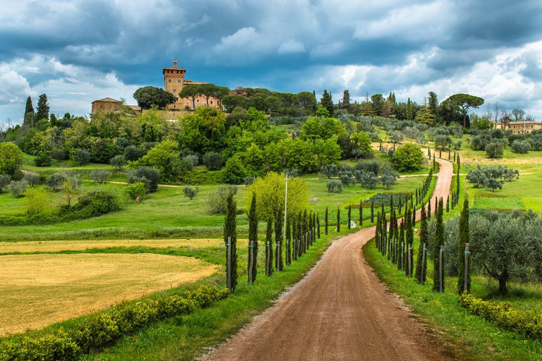 From Siena: Best of Tuscany Wines & Lunch in Montepulciano ENG/SPA/ITA Small Group Tour Option