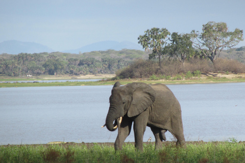 3 DAGEN SAFARI NAAR SELOUS wildreservaat (Flying Safari)DRIE DAGEN SAFARI NAAR SELOUS wildreservaat (Flying Safari)