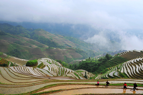 Da Guilin: Campi terrazzati di Longji e villaggi minoritari