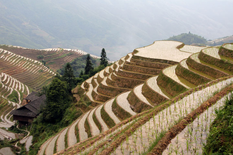 Da Guilin: Campi terrazzati di Longji e villaggi minoritari