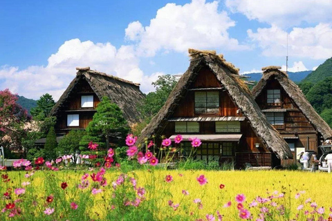 Nagoya 1-Day Trip: Hida Takayama and Shirakawa-go Village