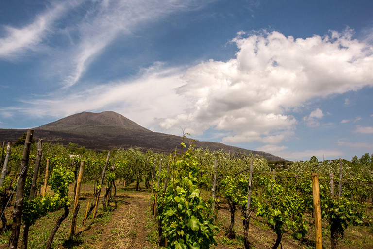 Vinprovning på VesuviusbergetStandardpris