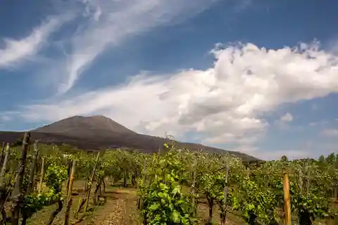Wine Tasting on Mt. Vesuvius