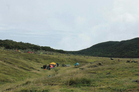 Mount Gede: 2-Day Hiking and Camping Adventure from Jakarta Thrilling Adventure with Mount Gede Hike and Camp 2D1N Tour!