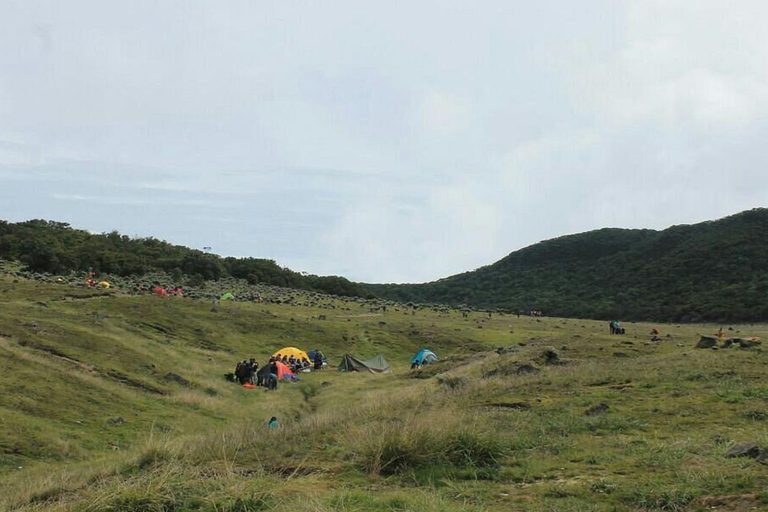 Mount Gede: 2-Day Hiking and Camping Adventure from Jakarta Thrilling Adventure with Mount Gede Hike and Camp 2D1N Tour!