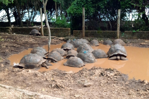 Zanzibar: tour guidato dell'isola prigione con guida localeZanzibar: tour guidato dell'isola prigione con una guida locale