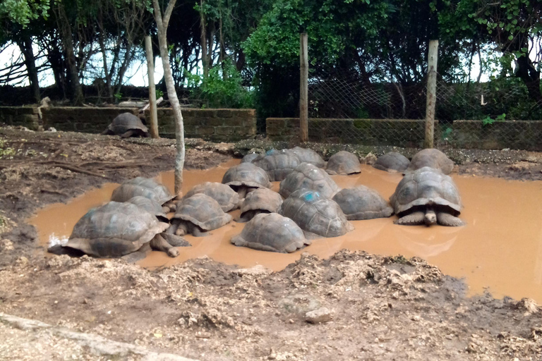 Zanzibar: tour guidato dell'isola prigione con guida localeZanzibar: tour guidato dell'isola prigione con una guida locale