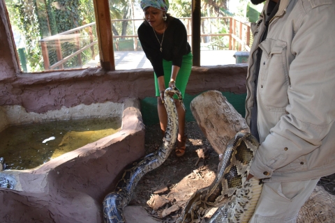 Durban: visite du village culturel de Phezulu et du parc de reptiles