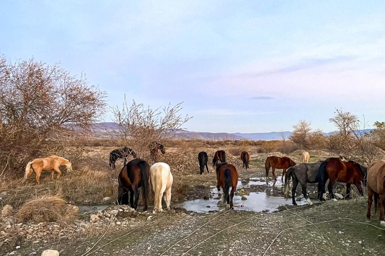 Horseback Riding & Historical Tour to Mtskheta and Jvari