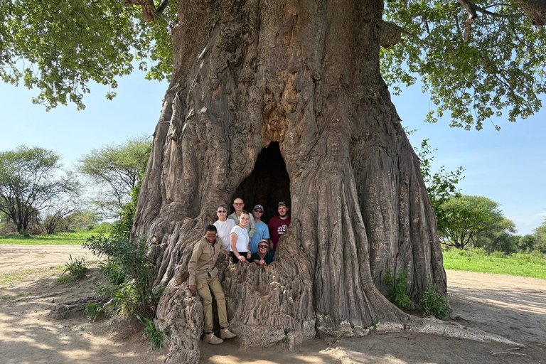 Arusha: 2-Day Tarangire and Ngorongoro Safari Tour