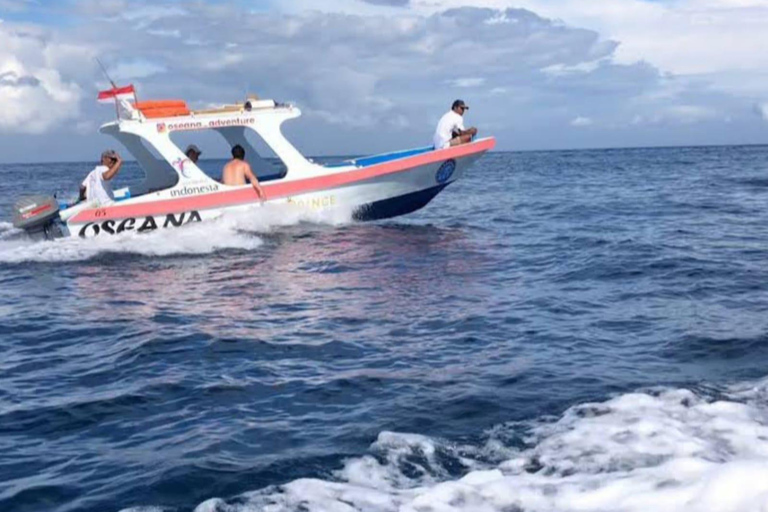 Van Gili Air : Gedeeld/Groep Snorkeltrip 3 EilandenGedeelde snorkeltour Gili Air