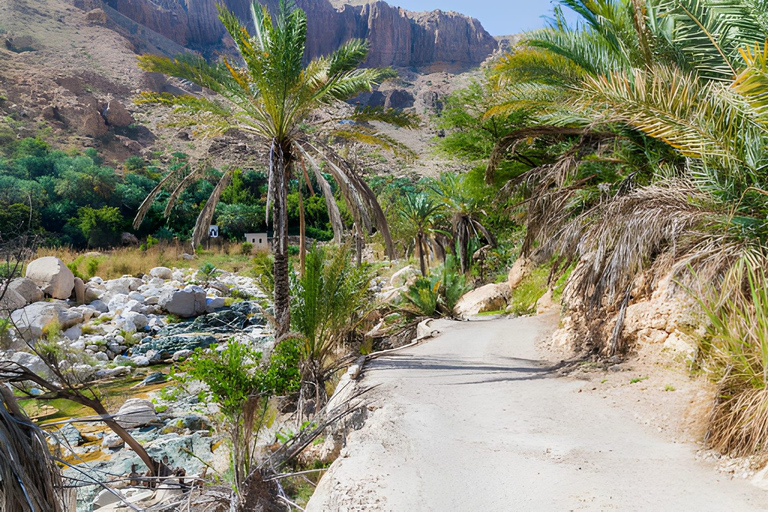 Paradise Valley y oasis de Tizgui: baño y spa de peces
