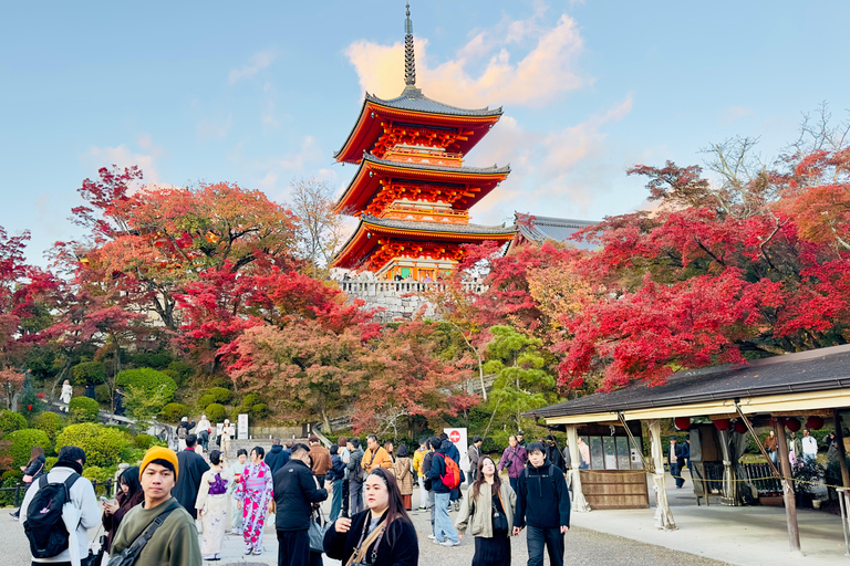 Kyoto Private Day Tour with Luxury Vehicle & English Guide