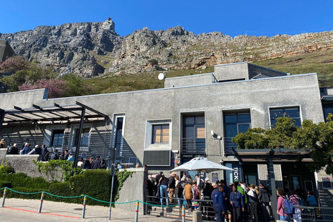 Le Cap : visite d&#039;une demi-journée à Table Mountain avec montée en téléphérique