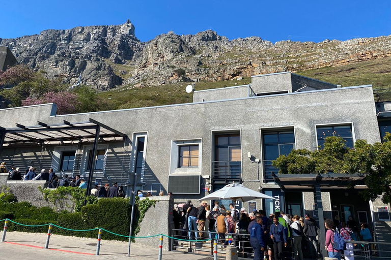 Le Cap : visite d&#039;une demi-journée à Table Mountain avec montée en téléphérique