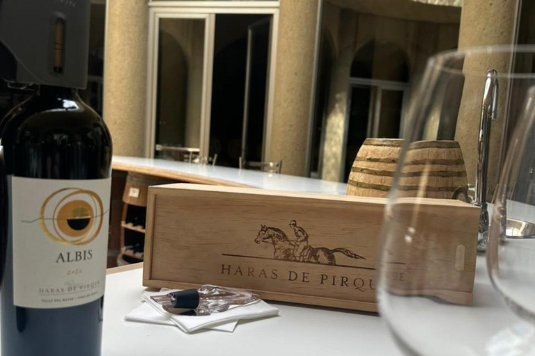 Viña Haras de Pirque Wine Experience
