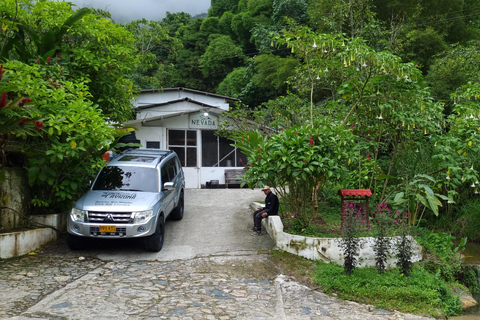 7h Road Trip zum Dschungel oder Tayrona Park mit Cap. Manny7h Road Trip mit Cap. Manny - Santa Marta und Umgebung