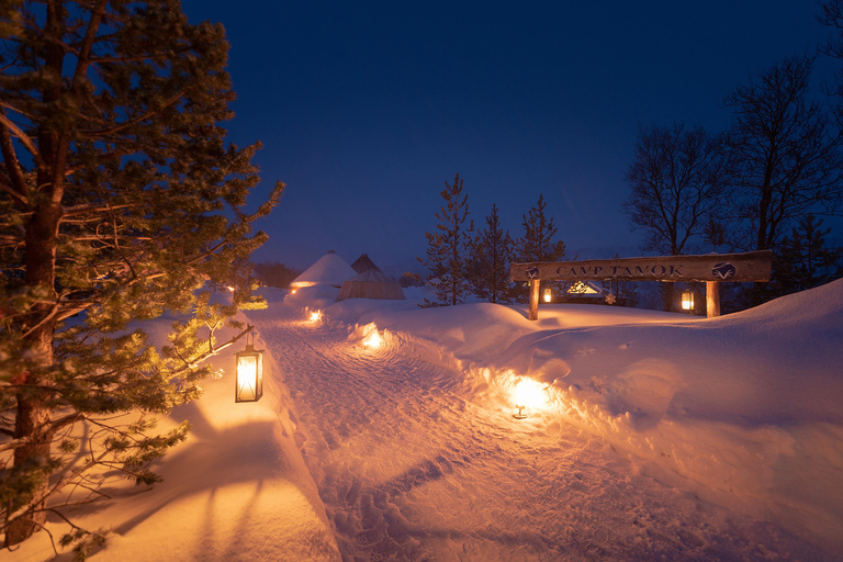 Vanuit Tromsø: Avond rendiersleeën in kamp Tamok