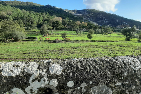 Monchique & Silves: guided day trip