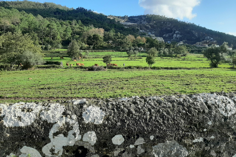 Monchique & Silves: guided day trip