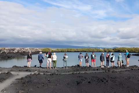 2 DAYS ISABELA ISLAND- TINTORERAS ISLET &amp; TUNELES CABO ROSA