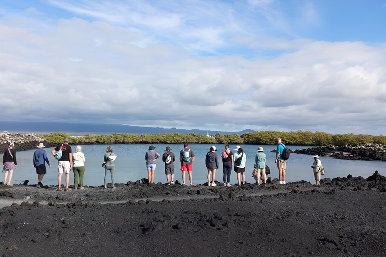 2 JOURS ÎLE ISABELA- ÎLOT TINTORERAS &amp; TUNELES CABO ROSA