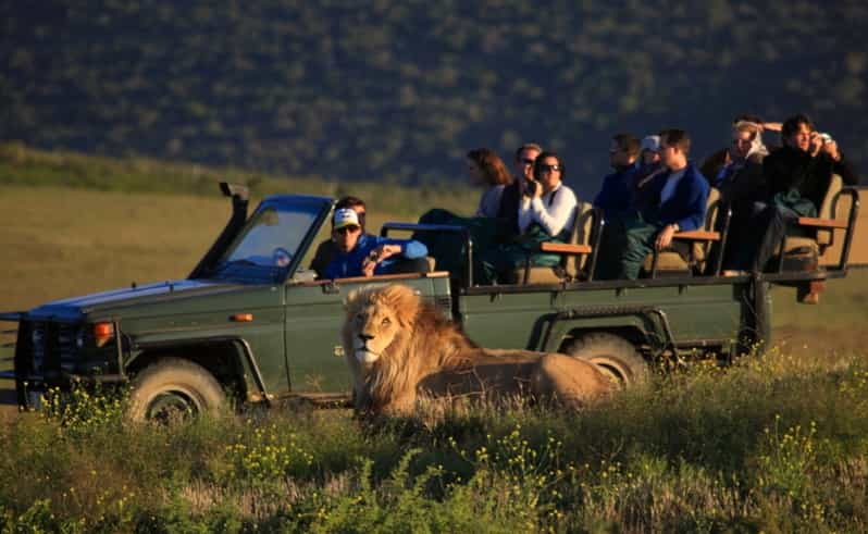 safari outdoor stellenbosch hours