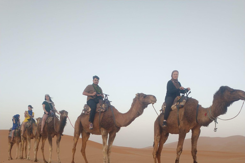 Marrakech to Fes 3 day Desert Tour Camel & luxury Tente Marrakech to Fes 3 day Desert Tour Standard Desert Tents