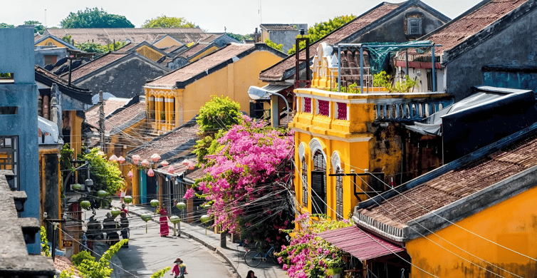 From Da Nang: Bay Mau Coconut Forest and Hoi An tour | GetYourGuide