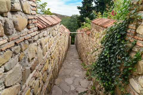 Depuis Tbilissi : Visite privée de KakhetiDepuis Tbilissi : Tour de Kakheti (RUS)