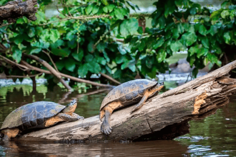 Manu: 8-Day Amazon Wildlife & Jungle Expedition