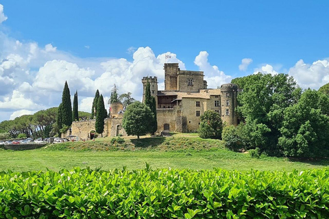 Luberon: Excursão de 1 dia ao vinho a partir de Marselha